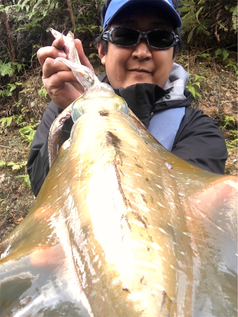 f:id:shimokenpi:20210329204859j:image