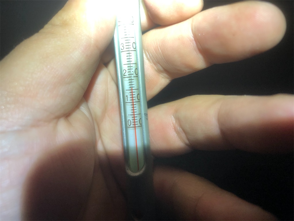 f:id:shimokenpi:20210428203154j:image