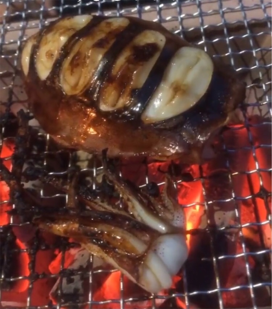 f:id:shimokenpi:20210526205307j:image