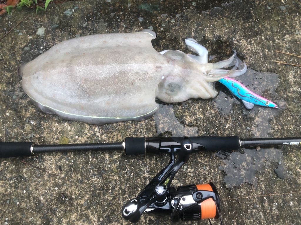 f:id:shimokenpi:20210705214307j:image