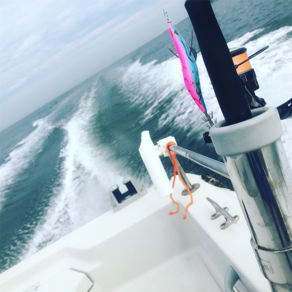 f:id:shimokenpi:20210713201345j:image