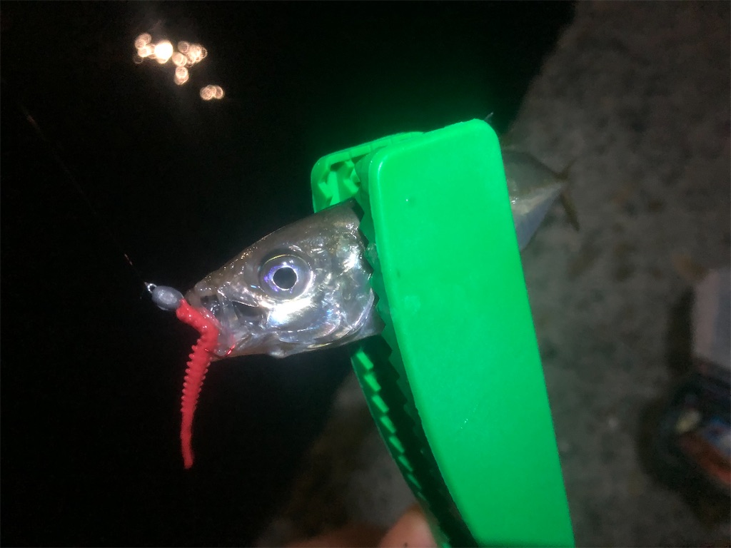 f:id:shimokenpi:20210726202540j:image