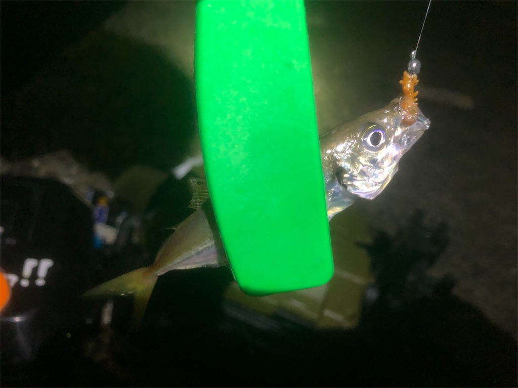 f:id:shimokenpi:20210726202547j:image