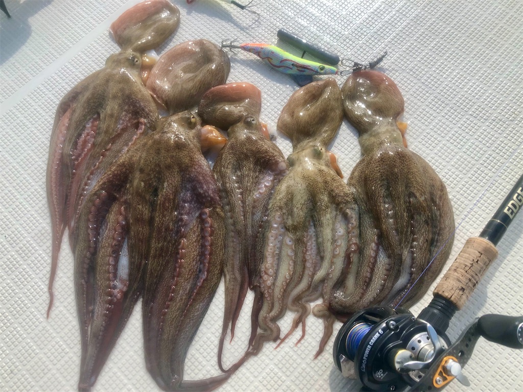 f:id:shimokenpi:20210726203752j:image