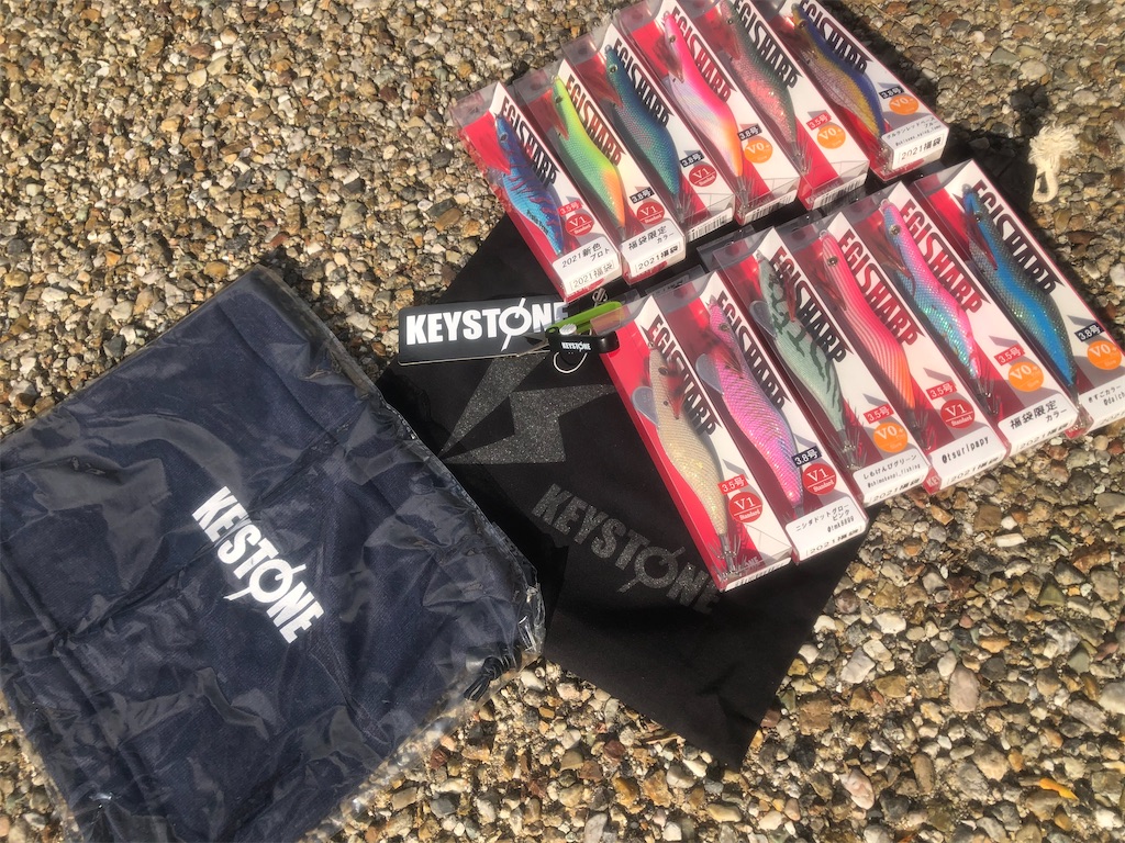 f:id:shimokenpi:20211231122309j:image