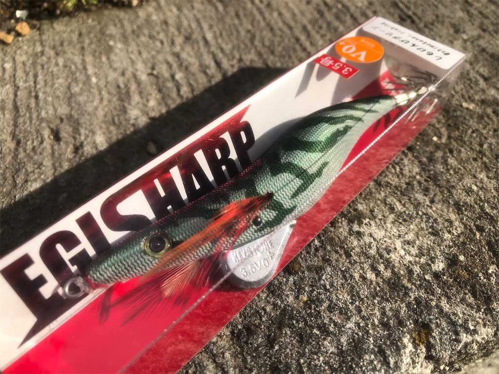 f:id:shimokenpi:20211231122313j:image