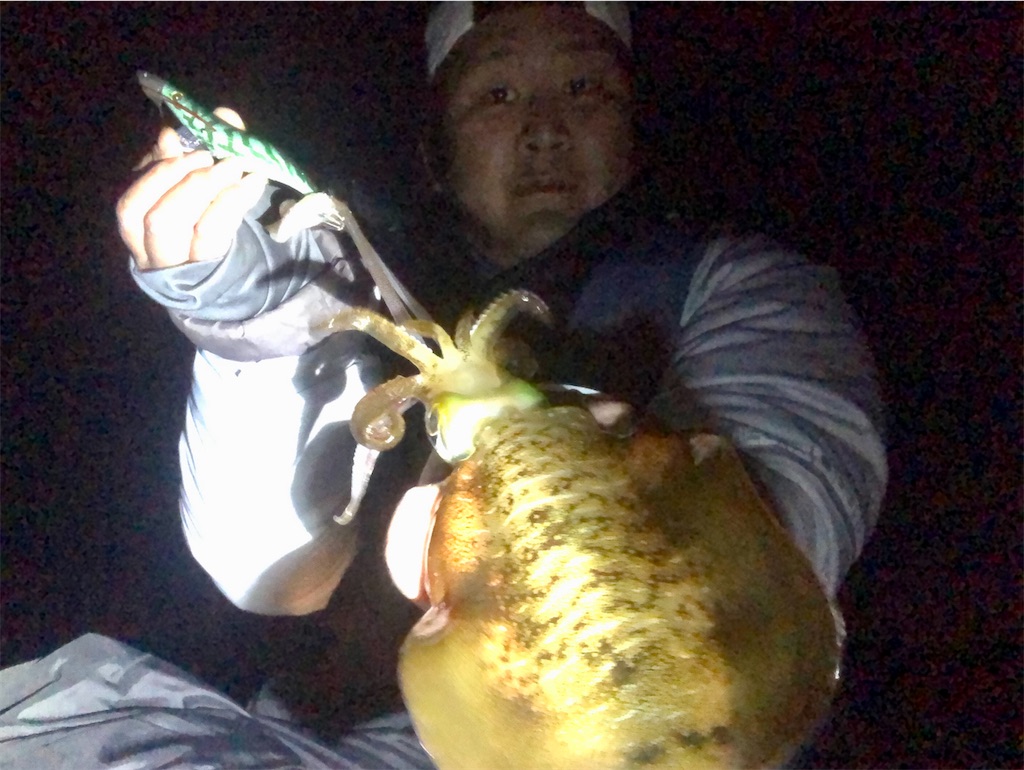 f:id:shimokenpi:20211231122551j:image