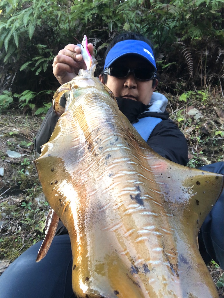 f:id:shimokenpi:20211231125740j:image