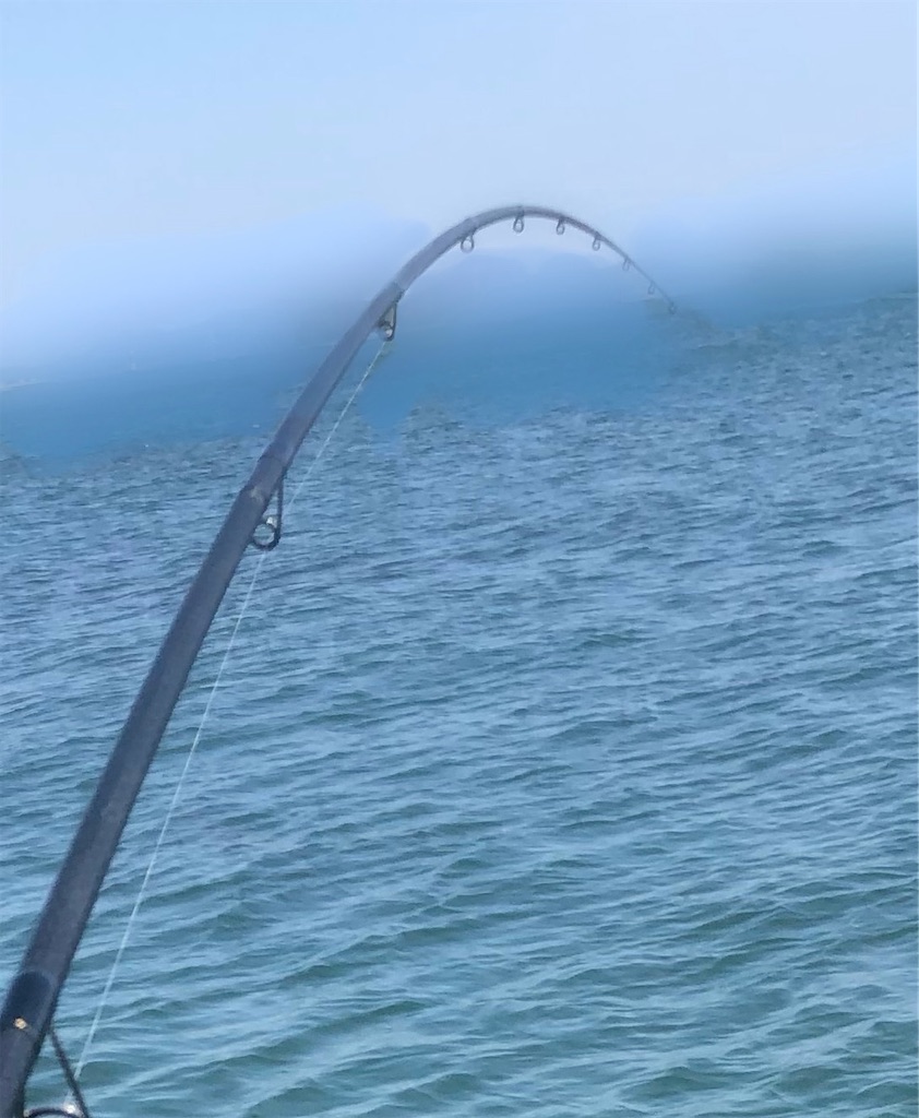 f:id:shimokenpi:20211231130616j:image