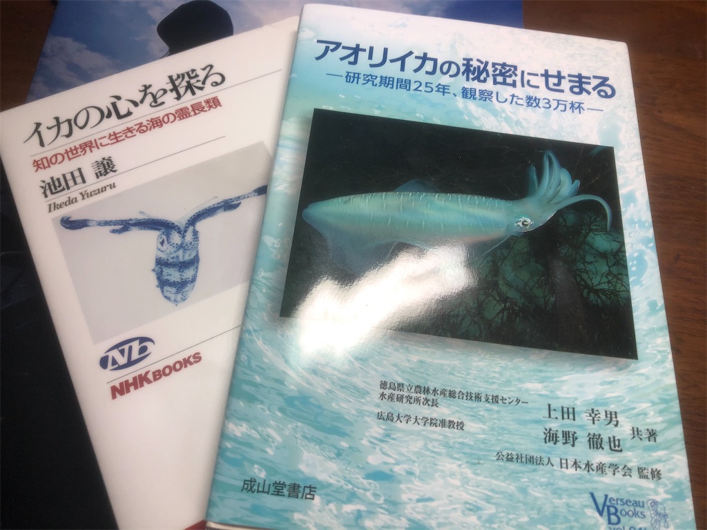 f:id:shimokenpi:20211231130831j:image