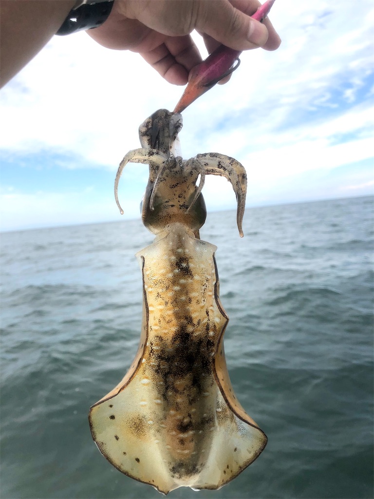 f:id:shimokenpi:20211231130905j:image