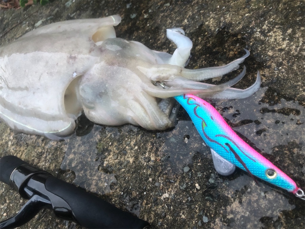 f:id:shimokenpi:20211231131501j:image