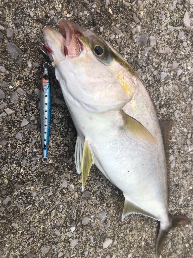 f:id:shimokenpi:20211231131755j:image