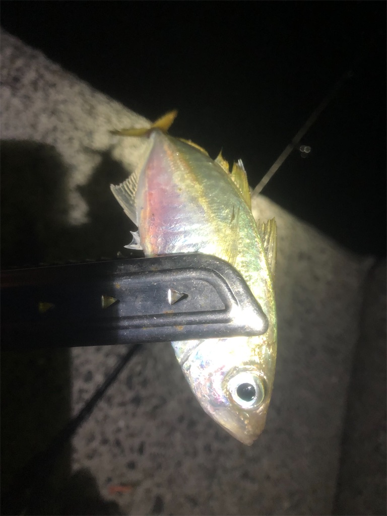 f:id:shimokenpi:20211231131825j:image