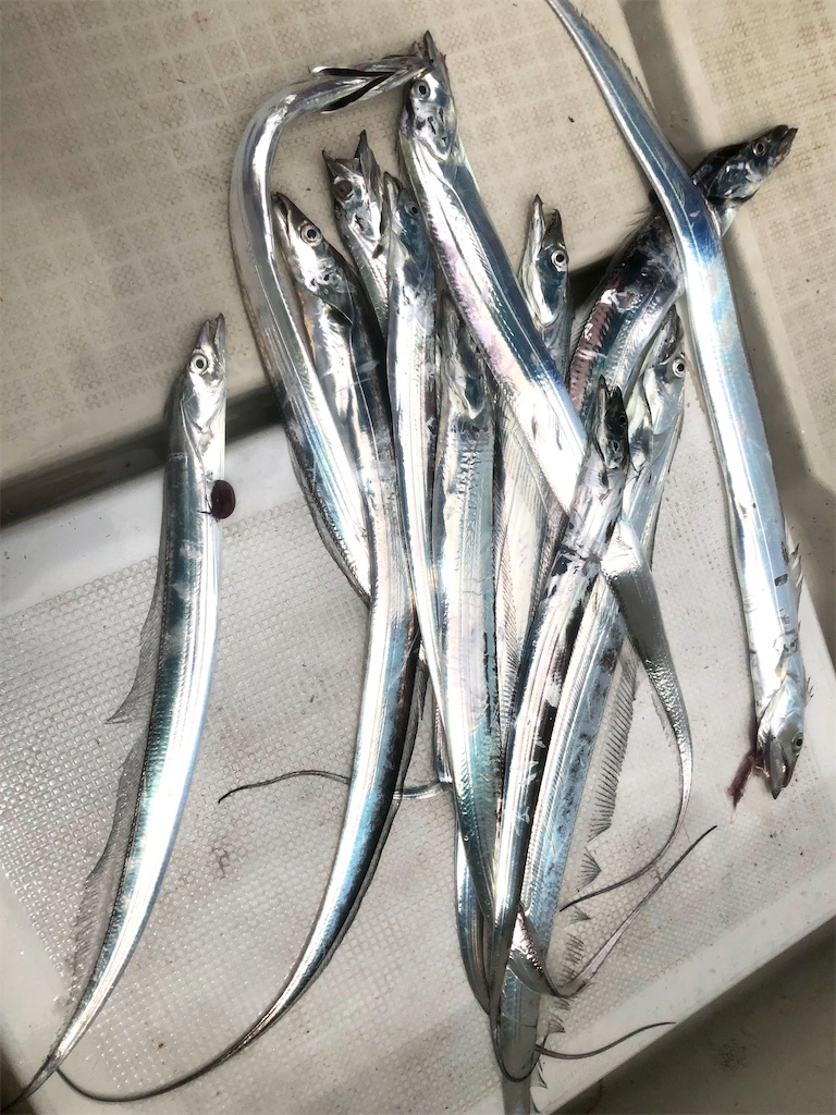 f:id:shimokenpi:20211231132117j:image