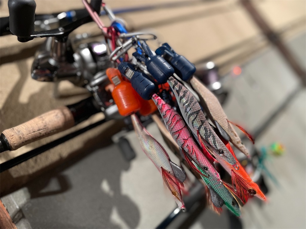 f:id:shimokenpi:20211231132222j:image