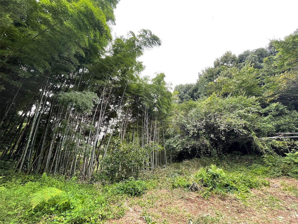 f:id:shimokenpi:20211231132227j:image