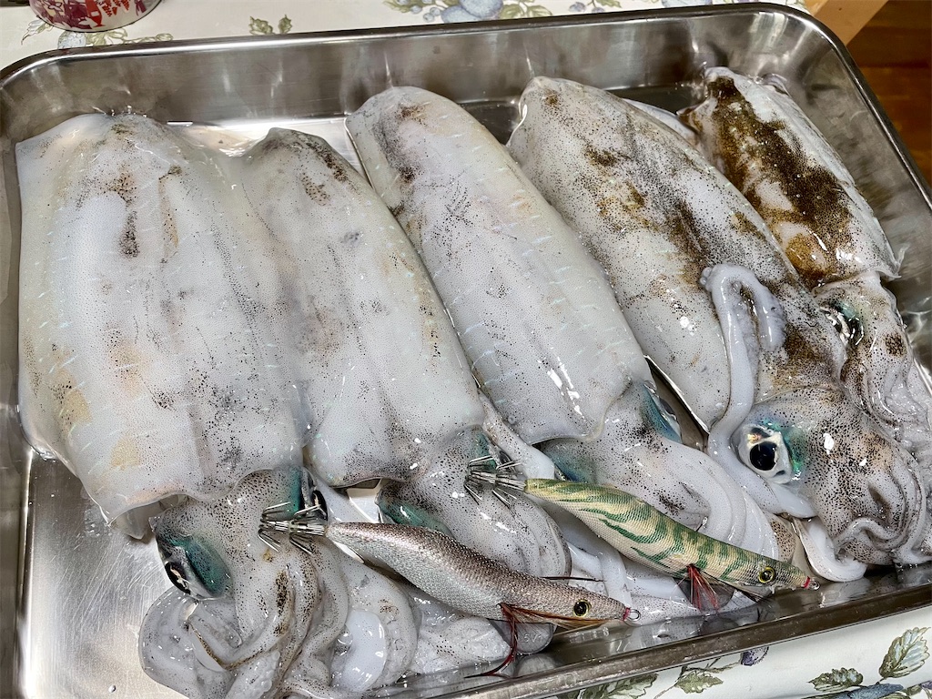 f:id:shimokenpi:20211231132514j:image