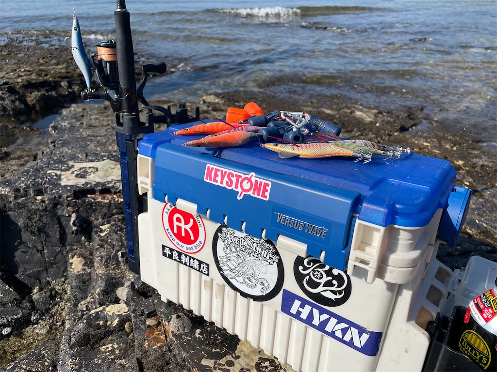 f:id:shimokenpi:20211231132527j:image