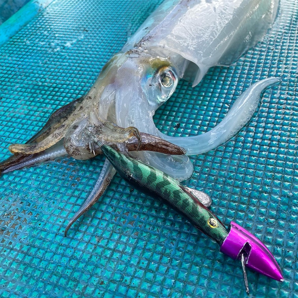 f:id:shimokenpi:20211231133445j:image