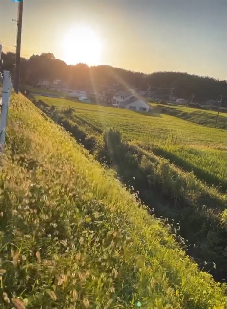 f:id:shimokenpi:20220901215226j:image