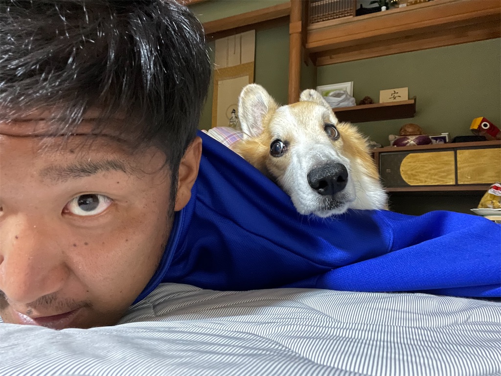 f:id:shimokenpi:20220901215456j:image