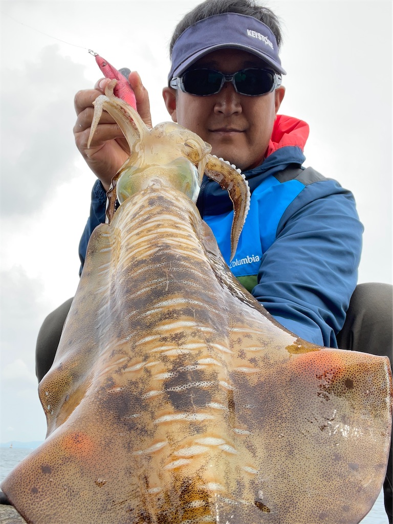 f:id:shimokenpi:20220901215748j:image