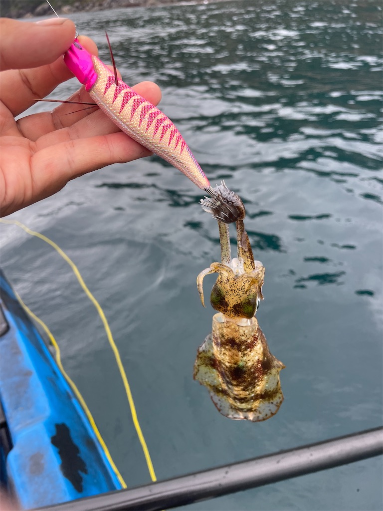 f:id:shimokenpi:20220912214504j:image