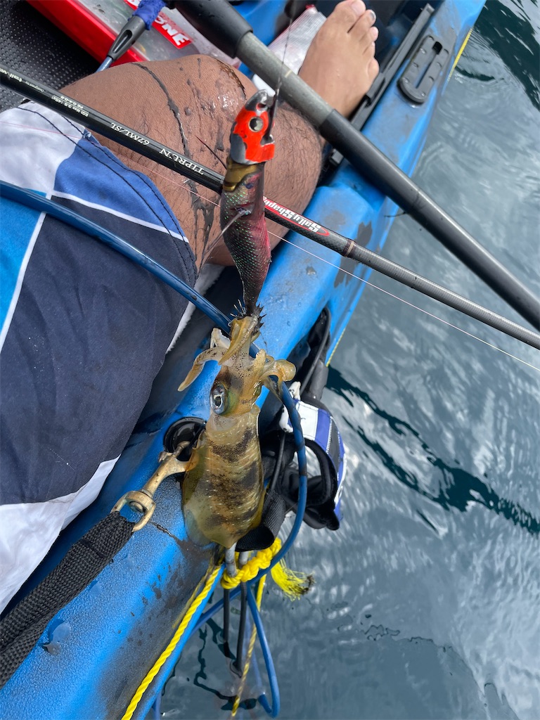 f:id:shimokenpi:20220912214951j:image