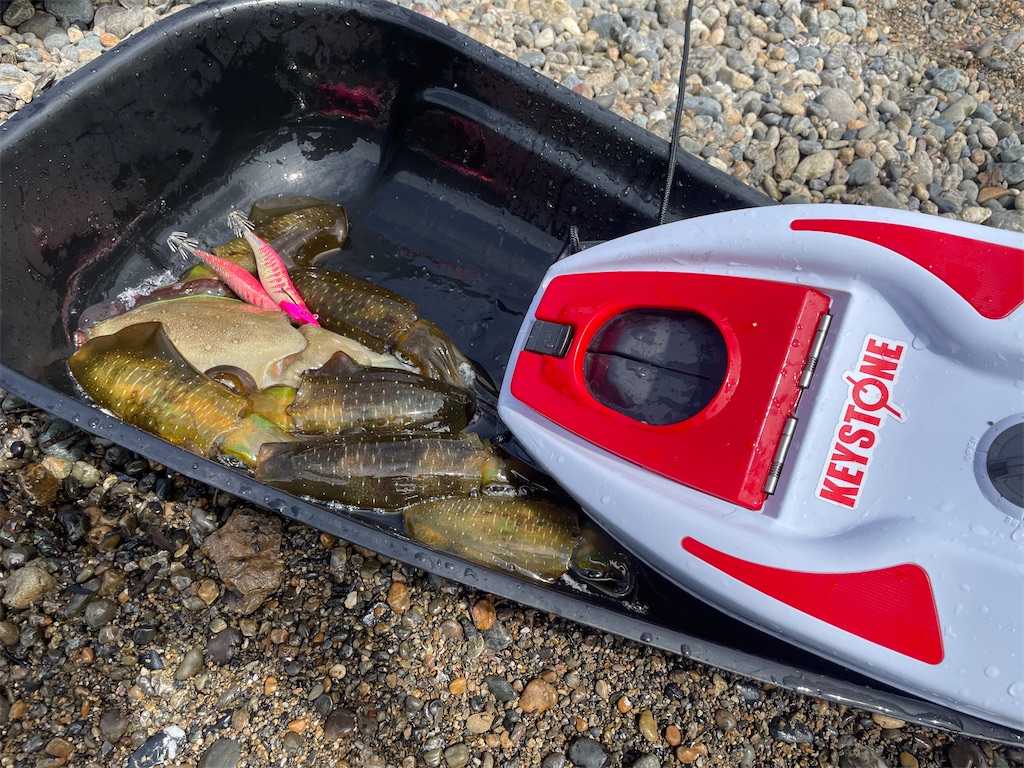 f:id:shimokenpi:20220912215032j:image