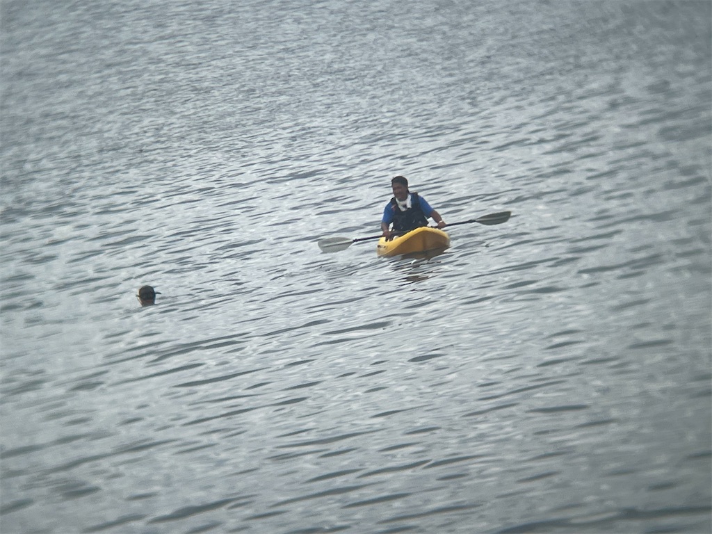 f:id:shimokenpi:20221009195230j:image