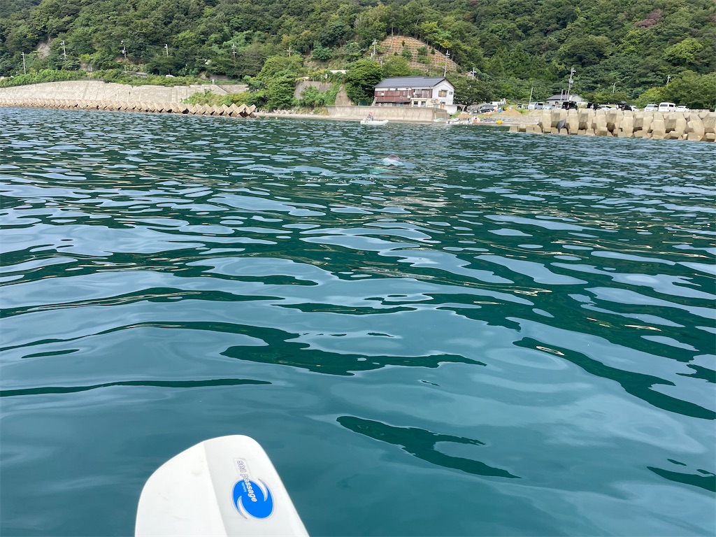 f:id:shimokenpi:20221009195248j:image