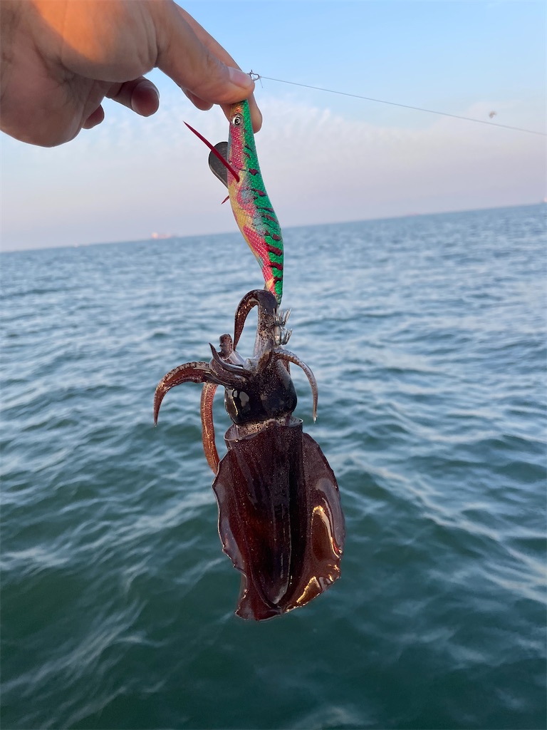 f:id:shimokenpi:20221016183123j:image