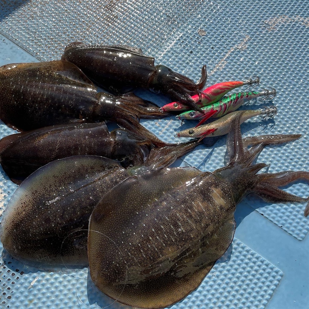 f:id:shimokenpi:20221016183604j:image