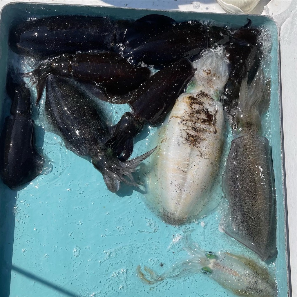 f:id:shimokenpi:20221018211106j:image