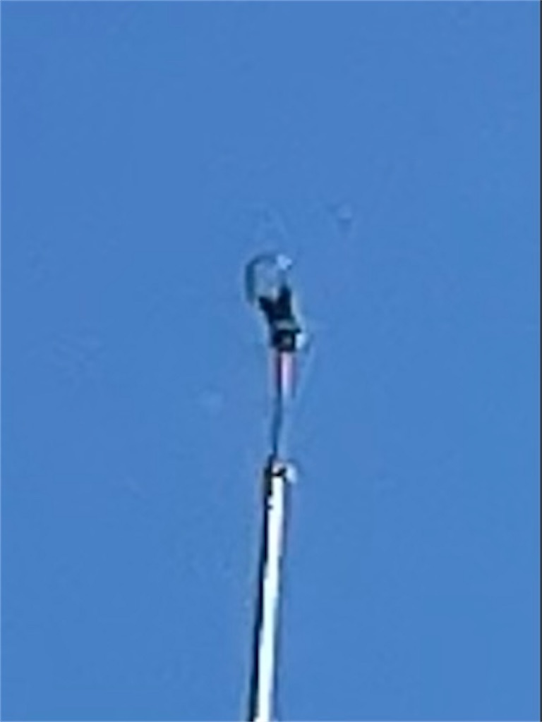 f:id:shimokenpi:20221030183114j:image