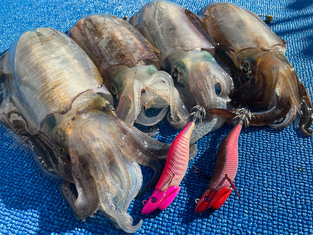 f:id:shimokenpi:20221030183921j:image