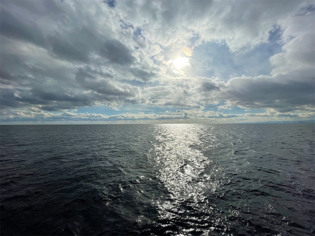 f:id:shimokenpi:20230108205008j:image