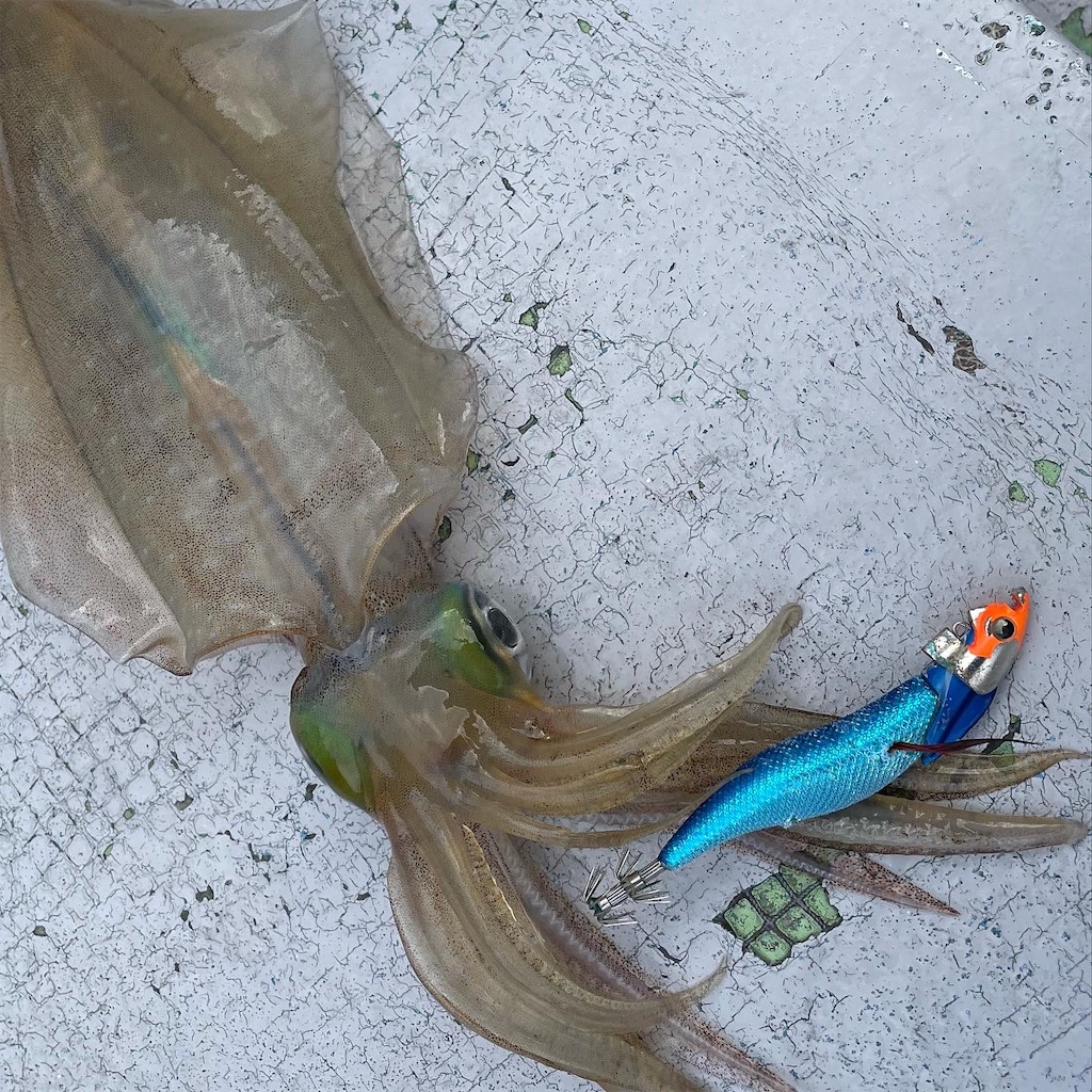 f:id:shimokenpi:20230108205029j:image