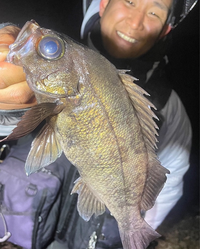 f:id:shimokenpi:20230205184131j:image