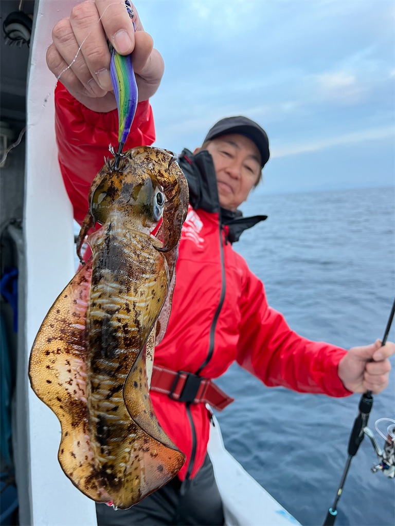 f:id:shimokenpi:20250305194038j:image