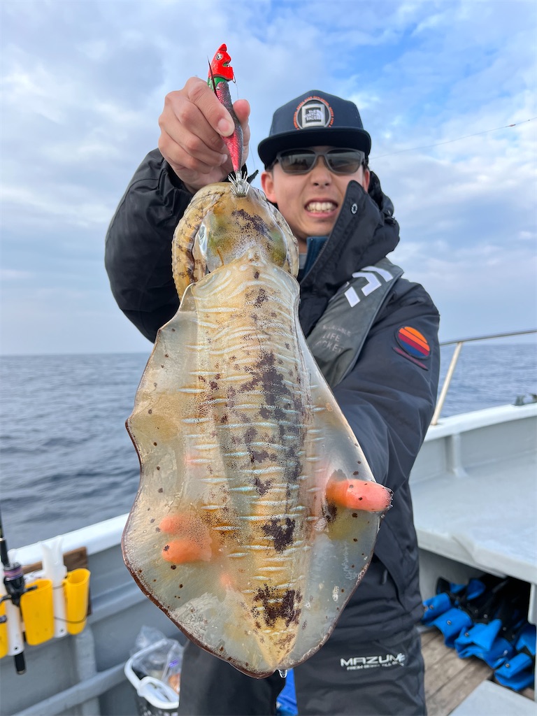 f:id:shimokenpi:20250305194346j:image