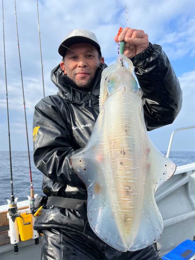 f:id:shimokenpi:20250305194349j:image