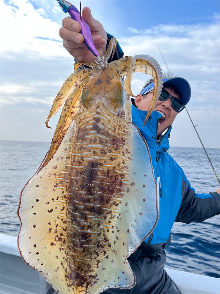 f:id:shimokenpi:20250305195844j:image