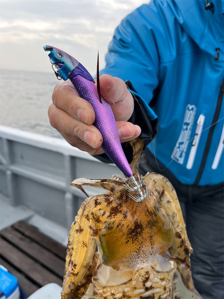 f:id:shimokenpi:20250305200041j:image