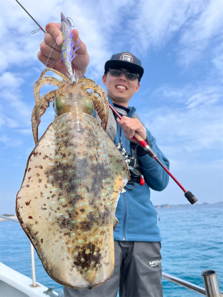 f:id:shimokenpi:20250305200552j:image