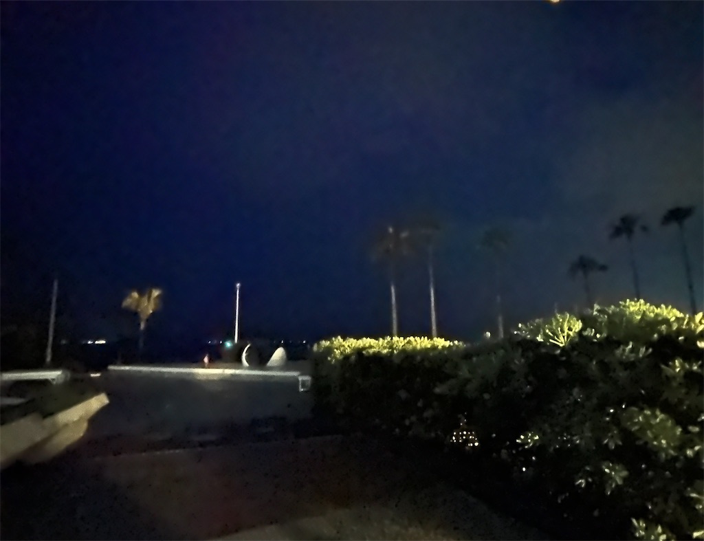 f:id:shimokenpi:20250521121210j:image