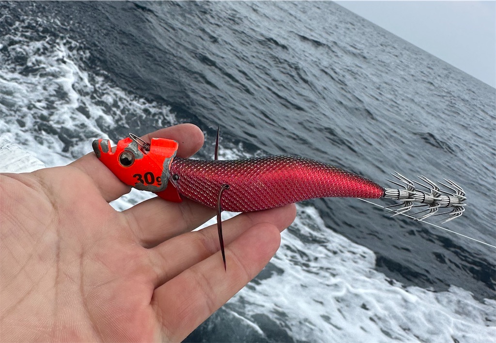 f:id:shimokenpi:20250521121949j:image