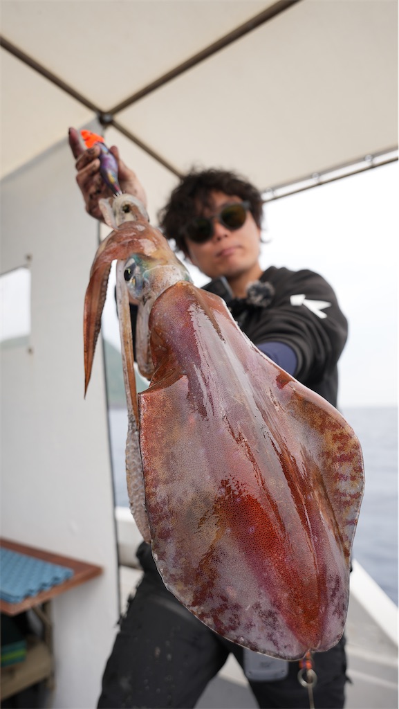 f:id:shimokenpi:20250521123119j:image