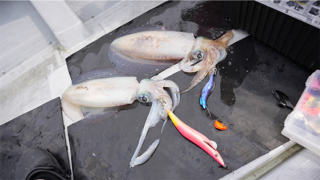 f:id:shimokenpi:20250521123752j:image